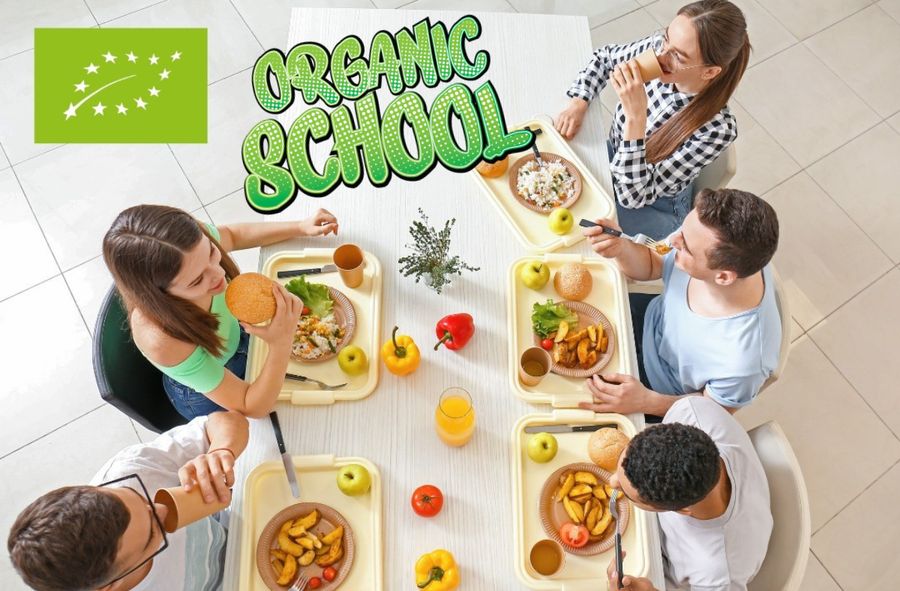 Ruszył projekt “Organic School”