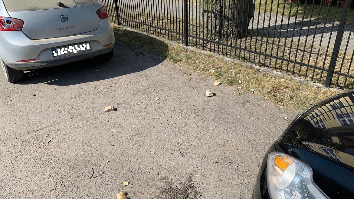 zdjęcie
