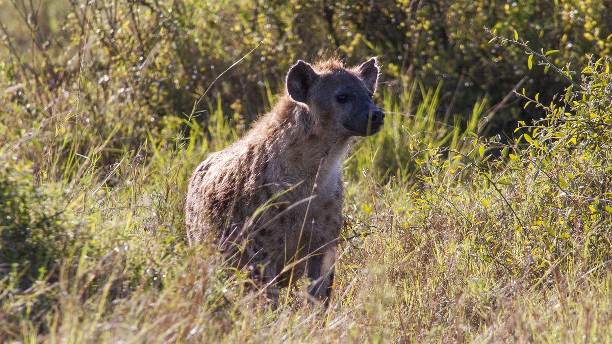 Krzyżówka z wiedzy ogólnej