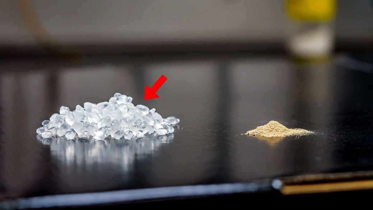 "Żywy" plastik opracowany w USA