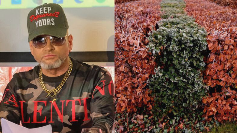 Żywopłoty, które wyglądają jak Krzysztof Rutkowski