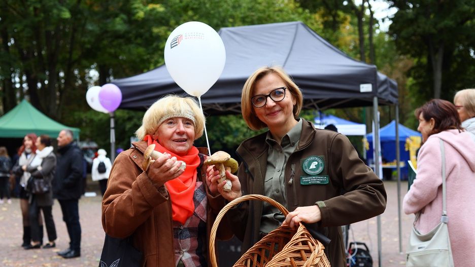 Tak wyglądał Leśny Piknik Rodzinny &#34;Dary Świętokrzyskich Lasów&#34; w Parku Miejskim