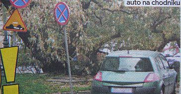 Tyszkiewicz znów parkuje na zakazie!
