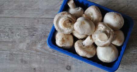 Dania z pieczarek – wartości odżywcze, kalorie i pomysły