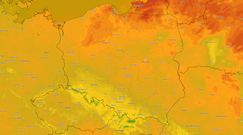 Prognoza pogody na weekend. IMGW zapowiada spokojne pierwsze dni lipca