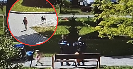 Trzylatka przy ruchliwej ulicy w Lęborku. Matka pod wpływem narkotyków