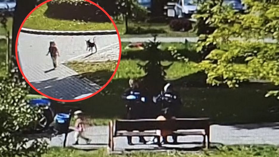 Przechodzień zapobiegł tragedii