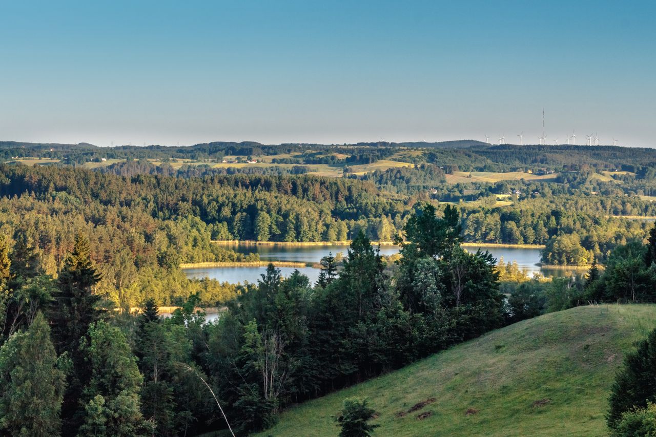 Suwalszczyznę pokochają osoby ceniące sobie spokój