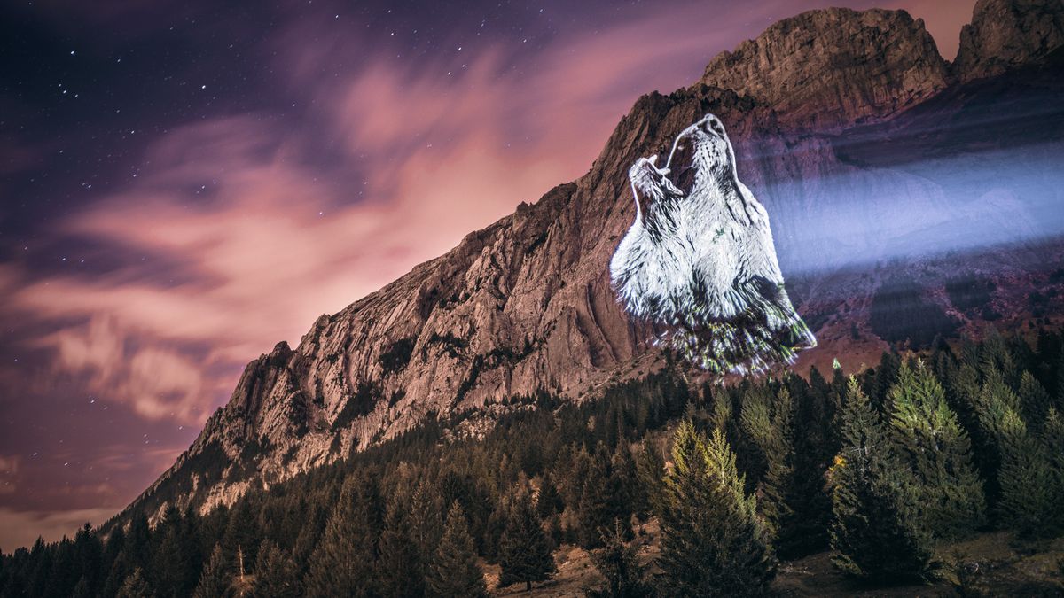 Zwierzęta, które płaczą na skalnych urwiskach - wspaniała seria Juliena Nonnona 1