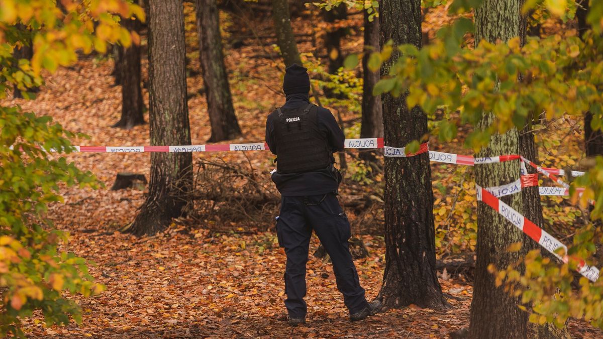 Poszukiwania Grzegorza Borysa
04.11.2023 Gdynia, Oblawa na Grzegorza Borysa. Poszukiwany Grzegorz Borys po zabojstwie dziecka. Poszukiwany ukrywa sie rzekomo w lasach Gdynia Karwiny, Chwarzno Wiczlino, Policja las radiowoz policyjny   Fot. Karol Makurat/REPORTER
Karol Makurat/REPORTER