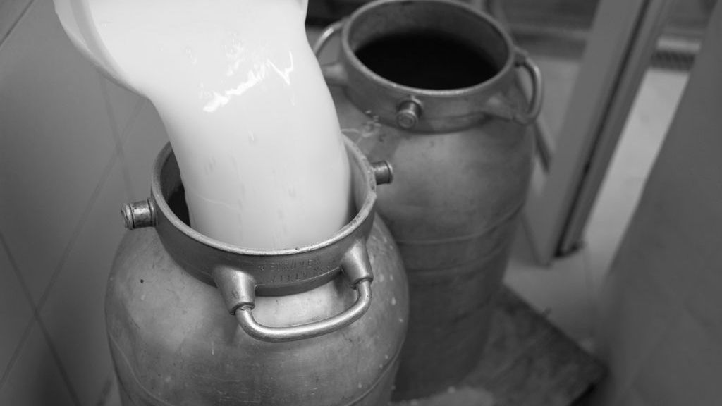 Laktoferyna w leczeniu COVID-19