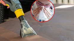 Chłoną toksyny jak gąbka. Uwalniają je nawet do roku później