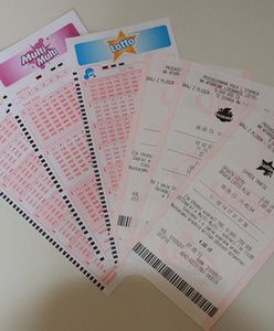 Wyniki Lotto 04.11.2024 – losowania Multi Multi, Ekstra Pensja, Kaskada, Mini Lotto