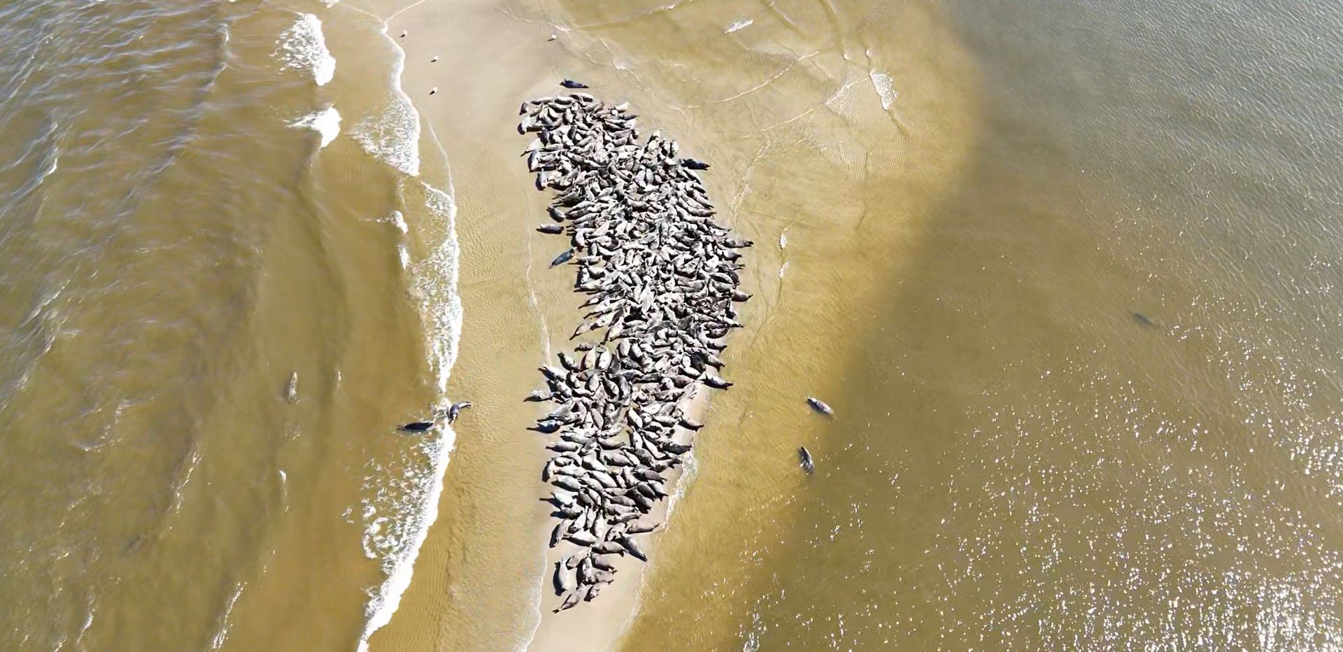 Są ich setki. Widok powala