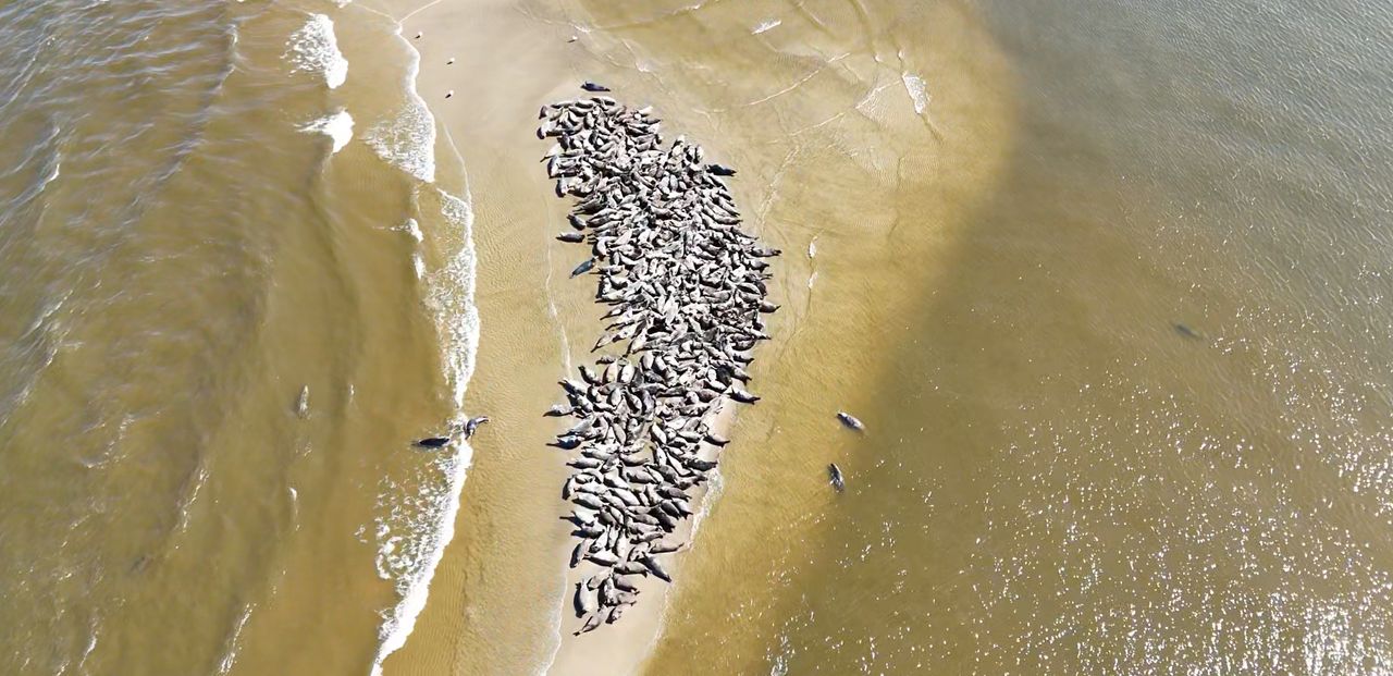 Są ich setki. Widok powala