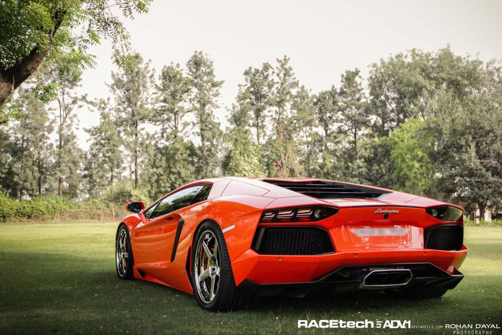 Lamborghini Aventador, felgi ADV.1 i słoń - niecodzienna sesja zdjęciowa [galeria] 19