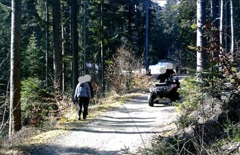 Straż leśna nie ma litości. Sypią się mandaty w lasach