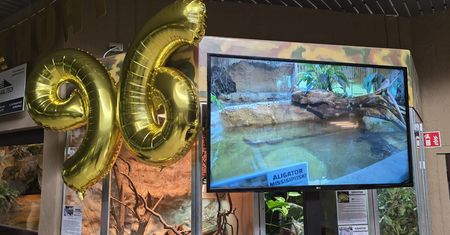 96. urodziny gwiazdy z Płocka. Marta znów skradła serca odwiedzających zoo!