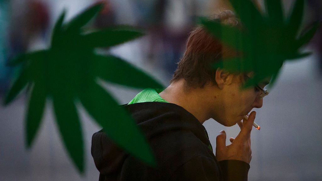 Czechy zmieniają prawo dotyczące konopi indyjskich