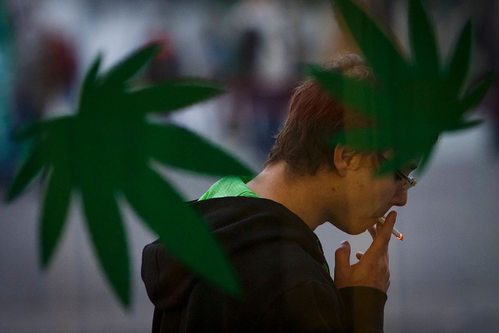 Nasi sąsiedzi legalizują marihuanę. Do 100 gramów na własny użytek