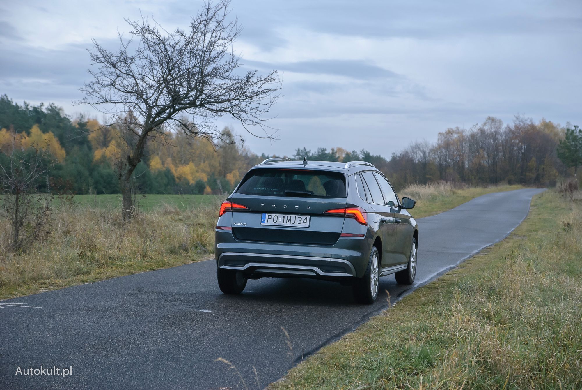 Škoda Kamiq 1.0 TSI 115 KM Style