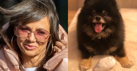 Dobroduszny Czarek Lis apeluje do właścicieli zwierząt: "Każdy może poprosić o pomoc w opiece nad psem na wypadek kwarantanny" (FOTO)