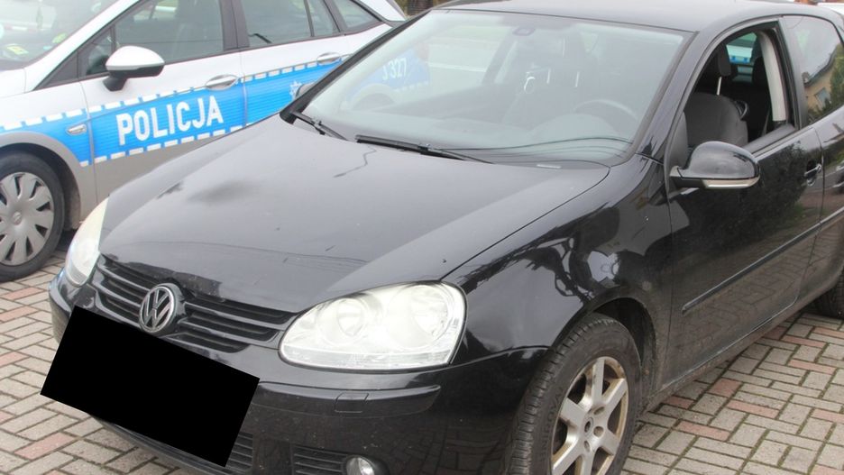 Fot. Licencjodawca