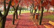 Jesienią noclegi coraz tańsze