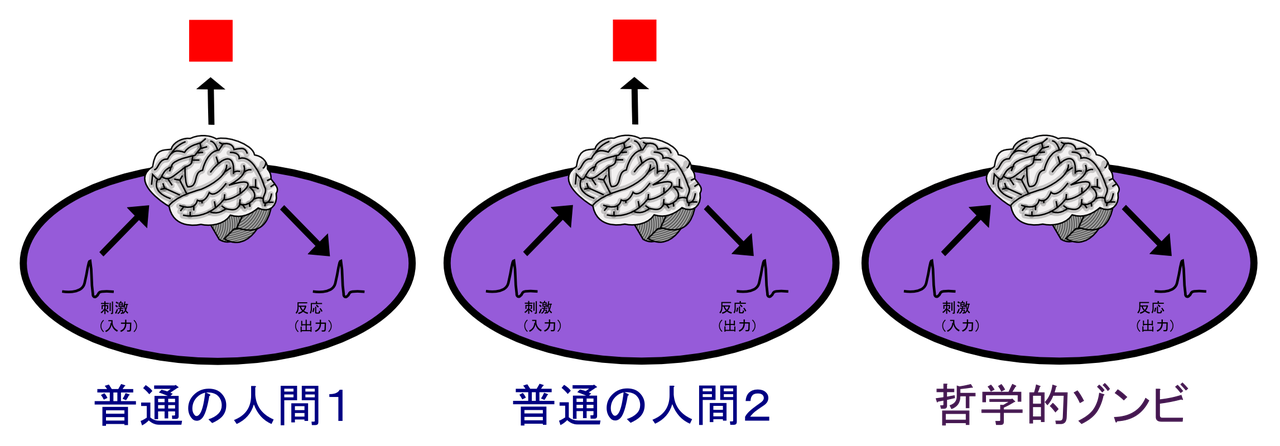 Ilustracja pomocnicza 😉 哲学的ゾンビを説明するための図 (Wikimedia Commons)
