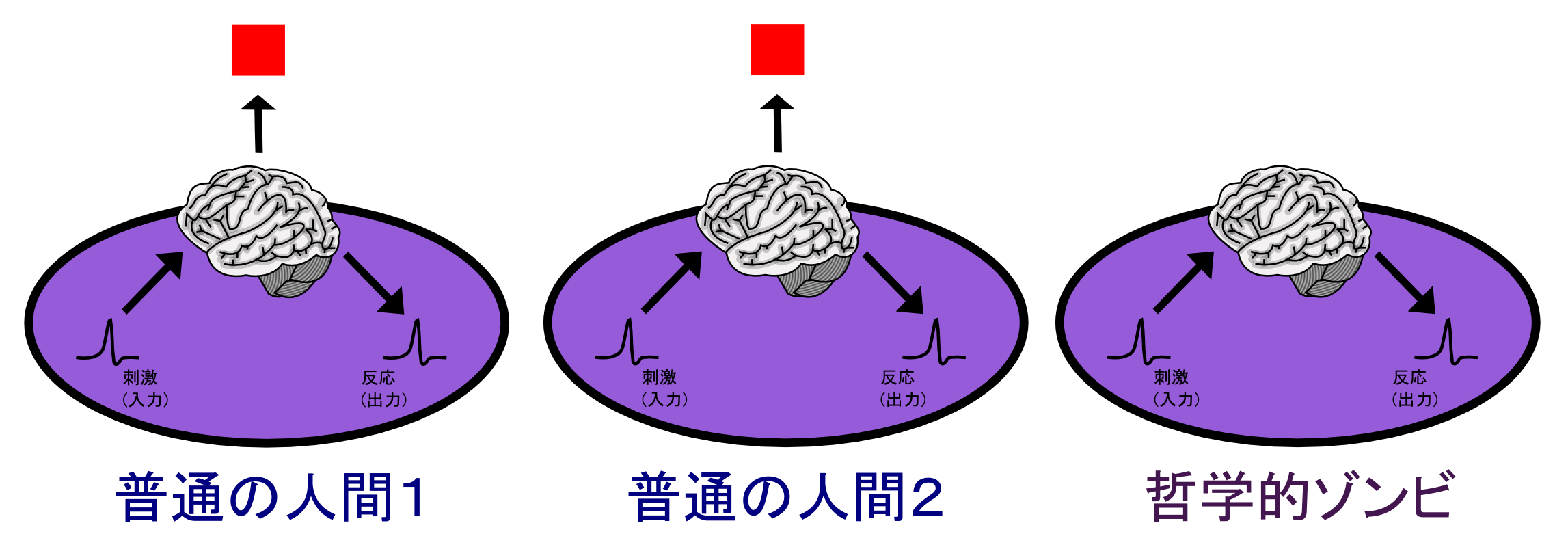 Ilustracja pomocnicza 😉 哲学的ゾンビを説明するための図 (Wikimedia Commons)