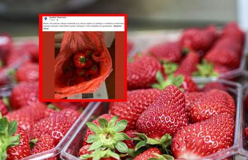 Poprosił o 1 kg truskawek. Potem położył na wadze