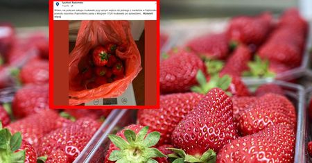 Poprosił o 1 kg truskawek. Potem położył na wadze
