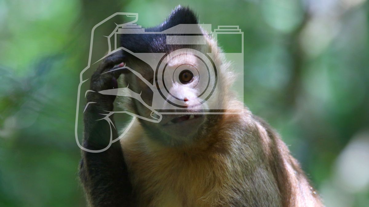 Spróbuj swoich sił i oszacuj, kiedy powstały te zdjęcia.