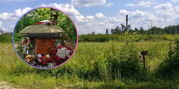 Sosnowiec: Idealna, krótka trasa w Zagłębiu? Szlak Lasu Zagórskiego to strzał w dziesiątkę.