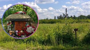 Sosnowiec: Idealna, krótka trasa w Zagłębiu? Szlak Lasu Zagórskiego to strzał w dziesiątkę.