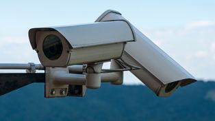 W lasach w regionie radomskim na spacerowiczów czekają...fotopułapki, kamery, drony i służby mundurowe