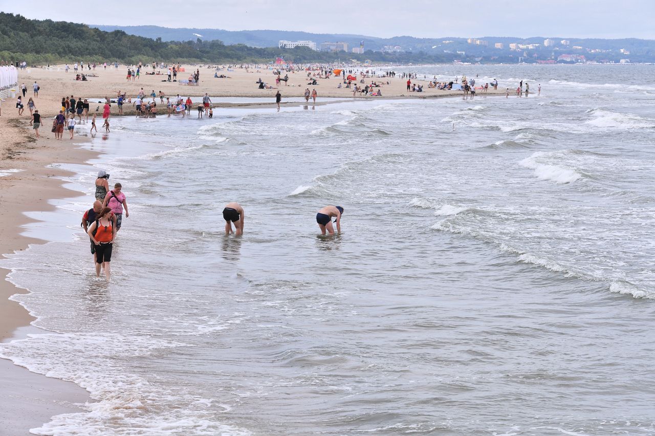 Sinice. Gdzie są zamknięte kąpieliska?