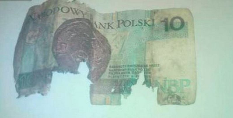 "Banknot 10 zł. Pamiątka ze Smoleńska". Bulwersująca aukcja w sieci