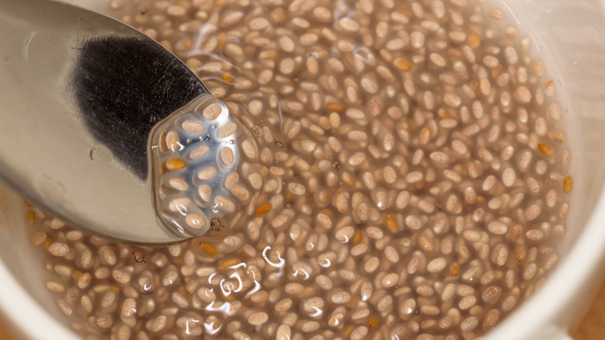 Chia