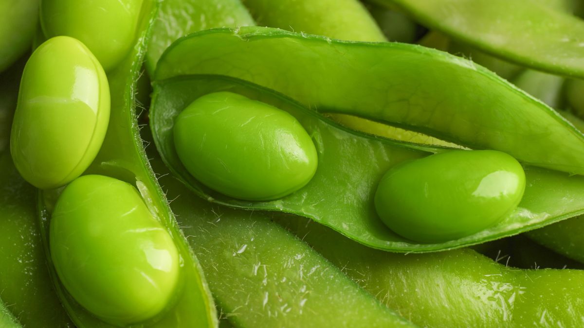 Edamame to niedojrzałe strąki soi 