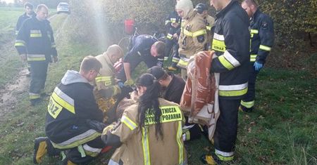 Przez 5 dni bez jedzenia i picia 77-latek przetrwał w lesie. Smutne informacje