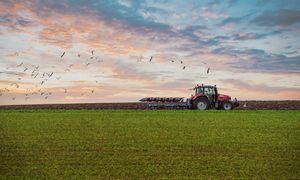 Sejm za przedłużeniem zakazu sprzedaży gruntów rolnych z zasobów państwa