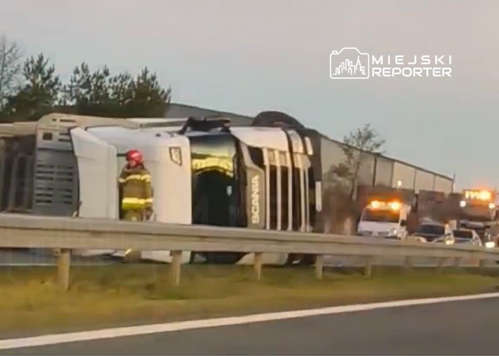 Strażak w kasku i mundurze ocenia przewrócony pojazd ciężarowy na poboczu drogi, obok stoją inne pojazdy ratunkowe.