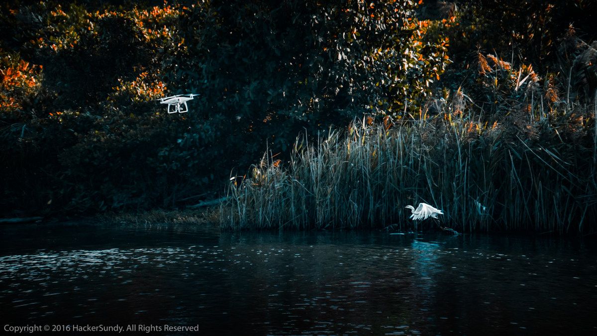 Najlepsze zdjęcia z dronów w konkursie SkyPixel Photo Contest 2016 5