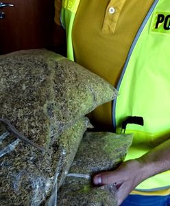 Tychy. Kontrola renault dała zaskakujące owoce. Kilkadziesiąt tysięcy w trefnym towarze