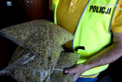 Tychy. Kontrola renault dała zaskakujące owoce. Kilkadziesiąt tysięcy w trefnym towarze