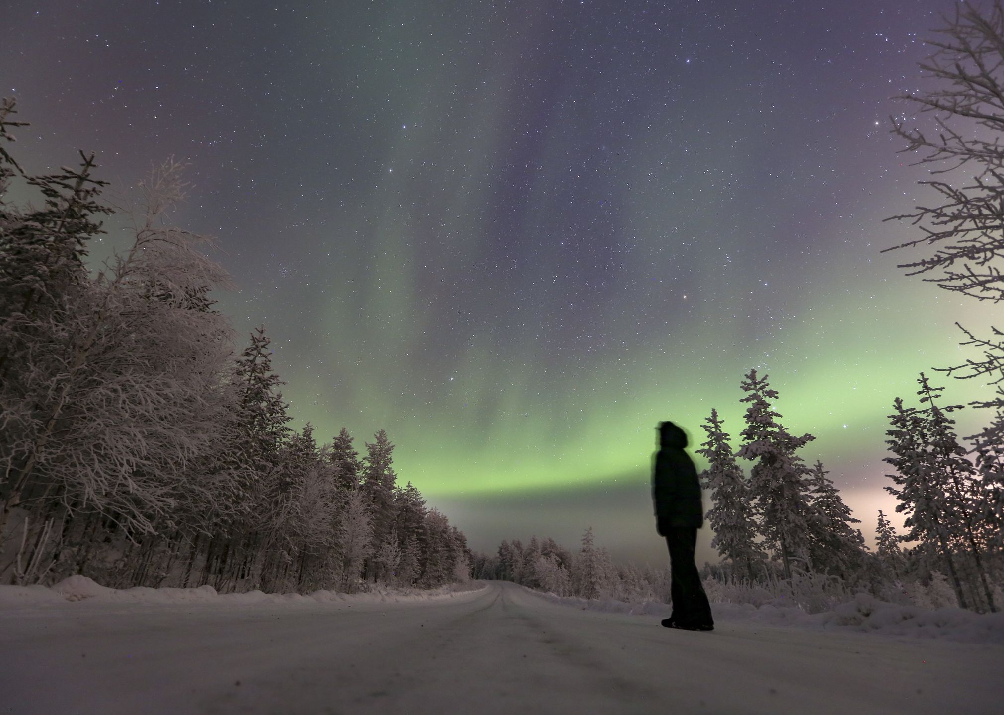LAPLAND, FINLAND - NOVEMBER 23: People take a walk in the forests to watch the Northern Lights, a natural phenomenon that takes place at certain times of the year, in Rovaniemi, Lapland, Finland on November 23, 2023. (Photo by smail Duru/Anadolu via Getty Images)
