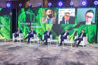 Ile w deklaracjach polityków jest zielonej polityki, a ile zielonej farby?