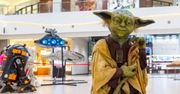 Wrocław. Odlot dla fanów "Gwiezdnych Wojen". Stań oko w oko z mistrzem Yodą