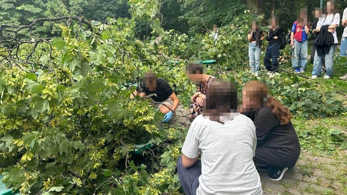Konar drzewa spadł na ludzi w Ogrodzie Saskim